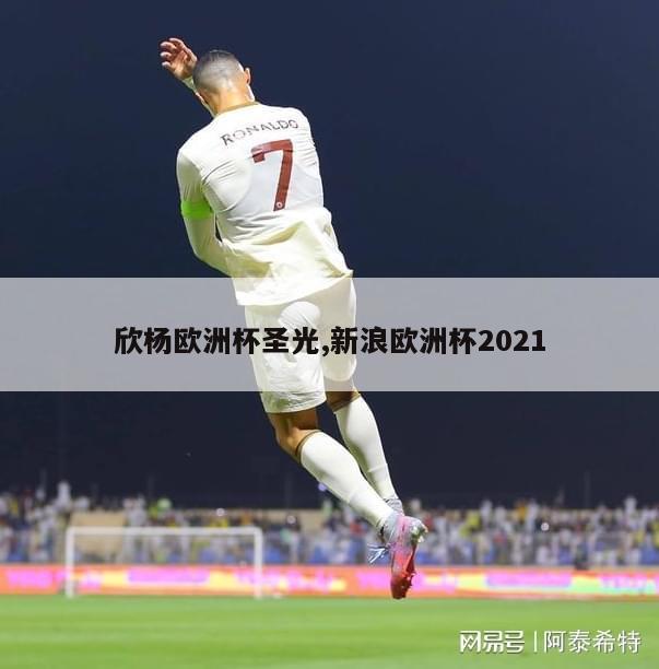 欣杨欧洲杯圣光,新浪欧洲杯2021