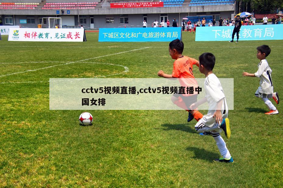 cctv5视频直播,cctv5视频直播中国女排