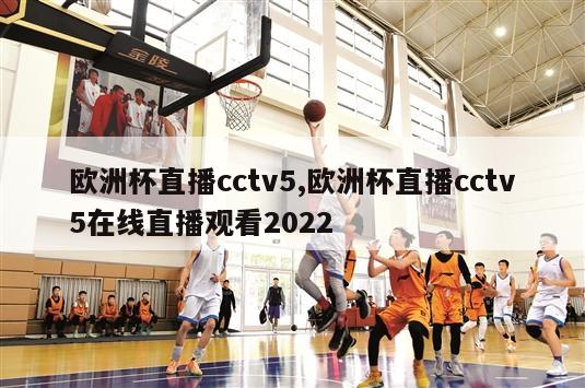 欧洲杯直播cctv5,欧洲杯直播cctv5在线直播观看2022